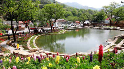 休閑、教育、養老&hellip;&hellip;&ldquo;三農&rdquo;變化之農業(yè)新功能