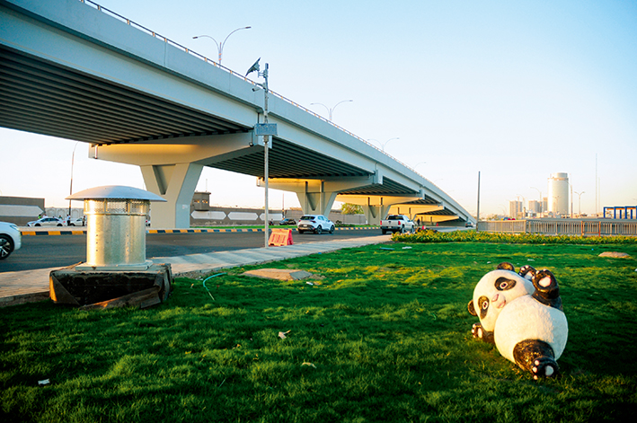 巴格達的椰棗樹(shù)