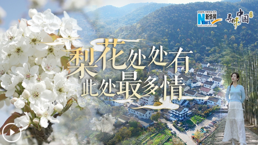 梨花處處有，此處最多情