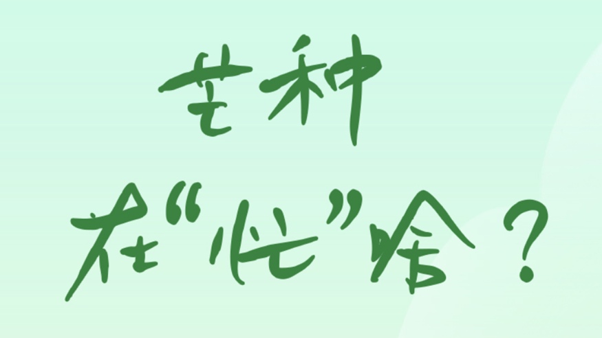 芒種在&ldquo;忙&rdquo;啥？