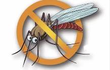 夏季，常見(jiàn)蚊蟲(chóng)如何應對